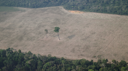 Desmatamento altera regime de chuvas e impacta agricultura e exportações