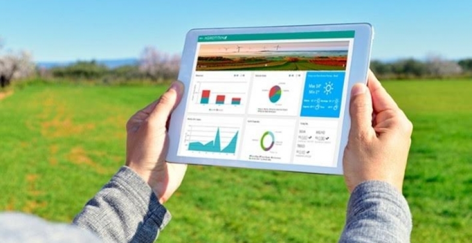 Agro recorre a ESG para tentar minimizar seus impactos ambientais