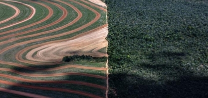 Até quando Alemanha continuará importando soja do Brasil?