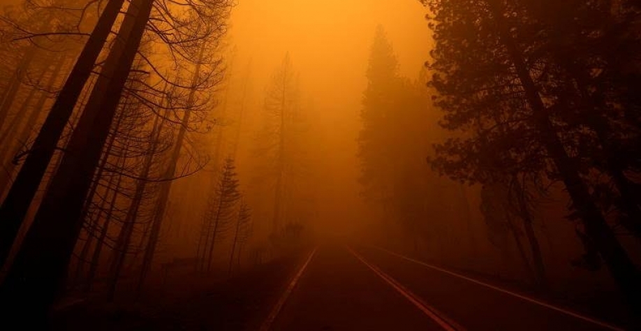 Empresas poluidoras não estão considerando riscos climáticos, diz estudo