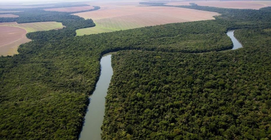 Captações de recursos com metas ESG geram valor ao acionista no longo prazo