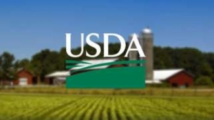 EUA:Lucro do setor agropecuário deve aumentar 19,5% em 2021,para US$ 113 bi