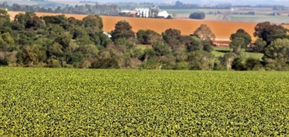 Falta de chuva ameaça plantio e pode pressionar inflação também em 2022