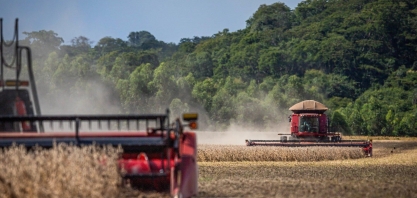 VBP do agro passa de R$ 1,1 tri e continua em rota ascendente em 2021