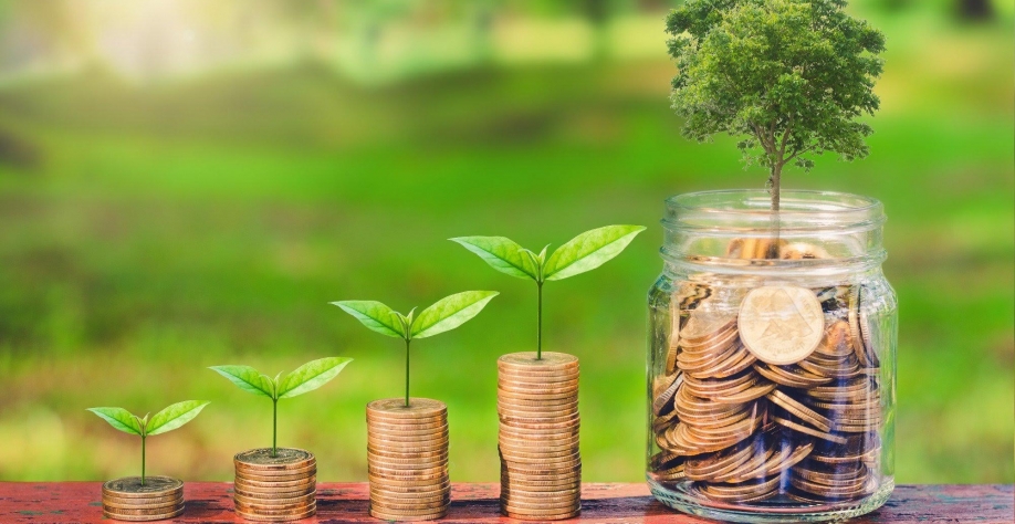 O que saber antes de investir em fundos e títulos ESG