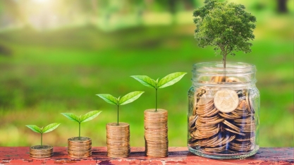 O que saber antes de investir em fundos e títulos ESG