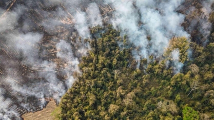 Safras arruinadas no Brasil alimentam inflação global