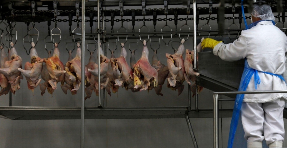 Brasil quer vender mais frangos ao Reino Unido e negociar uma cota maior