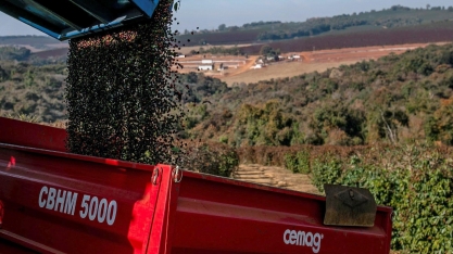 Logística trava e exportação de café do Brasil despenca em agosto