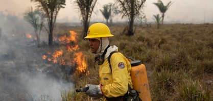Pesquisador cria sistema que prevê focos de queimada com 85% de precisão