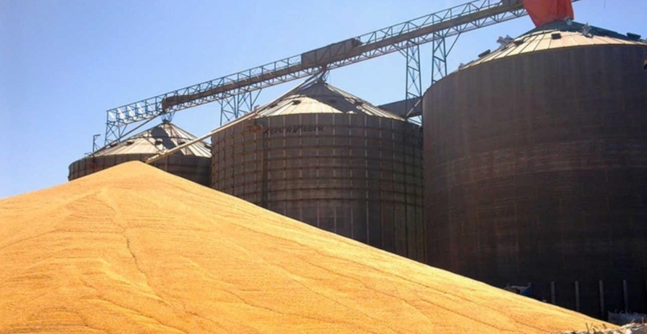 Importação de milho mais que dobrou em 2021. E vem mais ainda