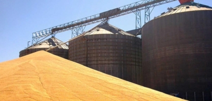 Importação de milho mais que dobrou em 2021. E vem mais ainda