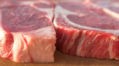 OIE encerra investigação sobre vaca louca; exportações continuam suspensas