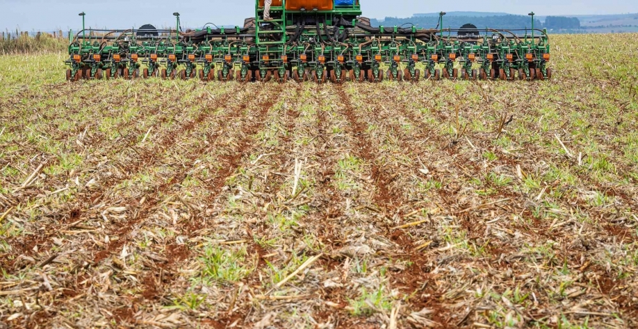 Paraná sai na frente e já começa a plantar soja na safra 2021/22