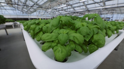 Fundo de tecnologia de Bill Gates aposta em robôs agricultores