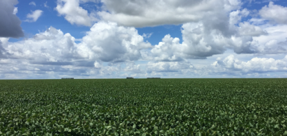 SLC Agrícola tem terras avaliadas em R$ 6,94 bilhões, 75,2% acima de 2020