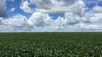 SLC Agrícola tem terras avaliadas em R$ 6,94 bilhões, 75,2% acima de 2020