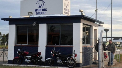 Na Amazônia, Marfrig avança em monitoramento do gado