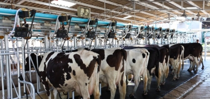 Aquisição de leite cai 1,0% no 2º trimestre/2021
