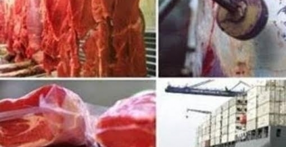 Exportação de carnes segue forte em setembro, mesmo com recuo chinês