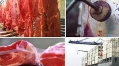 Exportação de carnes segue forte em setembro, mesmo com recuo chinês