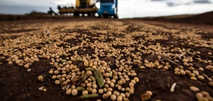 Grãos caem no exterior, mas dólar inibe queda no país