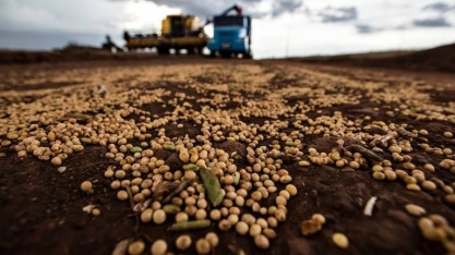 Grãos caem no exterior, mas dólar inibe queda no país