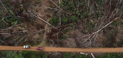 Direito climático traz cada vez mais ações em tribunais do País e do mundo