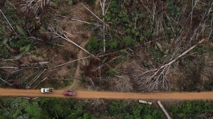 Direito climático traz cada vez mais ações em tribunais do País e do mundo