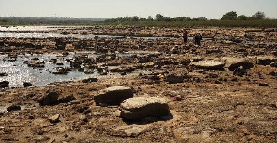 Órgão do governo contraria Bolsonaro; crise energética requer atenção