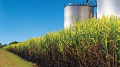 Etanol: Análise Conjuntural Agromensal Cepea/Esalq/USP Setembro