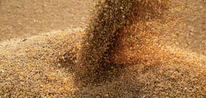 Óleo de soja da China atinge máxima de quase 10 anos