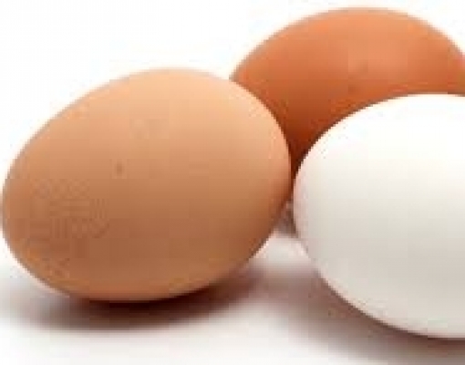 Ovos: Exportação de jan. a set. cresce 138% sobre igual período de 2020