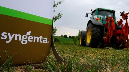 Syngenta leiloa biofábrica de mudas de cana em Itápolis (SP)
