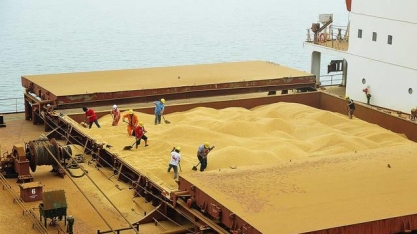 Soja: Volume exportado em setembro sobe 13,43% e receita salta 58%