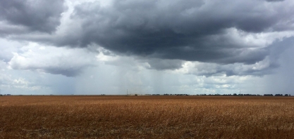 Nova safra de soja do país já tem 28,1%, da produção vendida