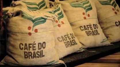 Produção de café é revisada com queda para 48,1 milhões de sacas