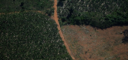 Embaixador da Noruega diz que Brasil precisa de plano para desmatamento