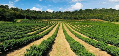 Empresas alinham investimentos a boas práticas ambientais e sociais