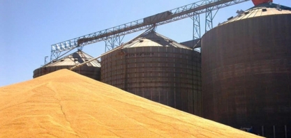 Milho: Exportação em setembro ante ano anterior cai 55,18% em volume