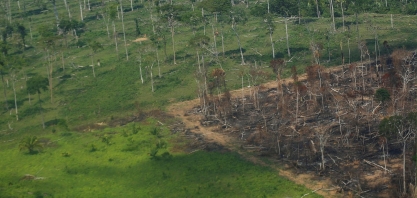 Desmatamento e aquecimento global colocam Amazônia sob ameaça