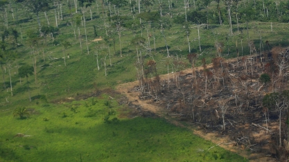 Desmatamento e aquecimento global colocam Amazônia sob ameaça