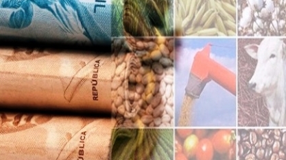 Agricultura estima VBP de 2021 em R$ 1,10 trilhão
