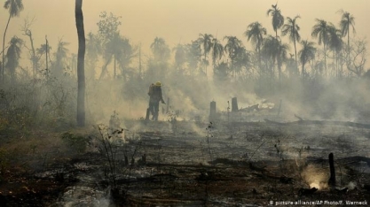 Concentração de gases-estufa na atmosfera foi recorde em 2020, adverte ONU