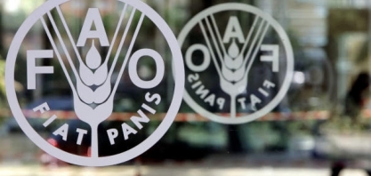 Preços dos alimentos no mundo atingem máxima de 10 anos, diz FAO