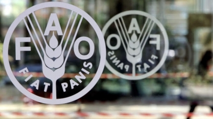 Preços dos alimentos no mundo atingem máxima de 10 anos, diz FAO
