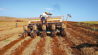 Alta umidade do solo favorece plantio de soja no Brasil em outubro