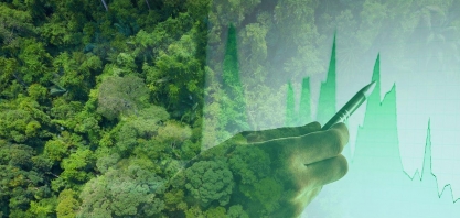 COP26: Governo exclui expansão de áreas verdes protegidas