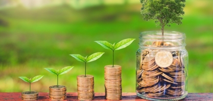 WWF incentiva bancos de investimento a tornarem-se verdes