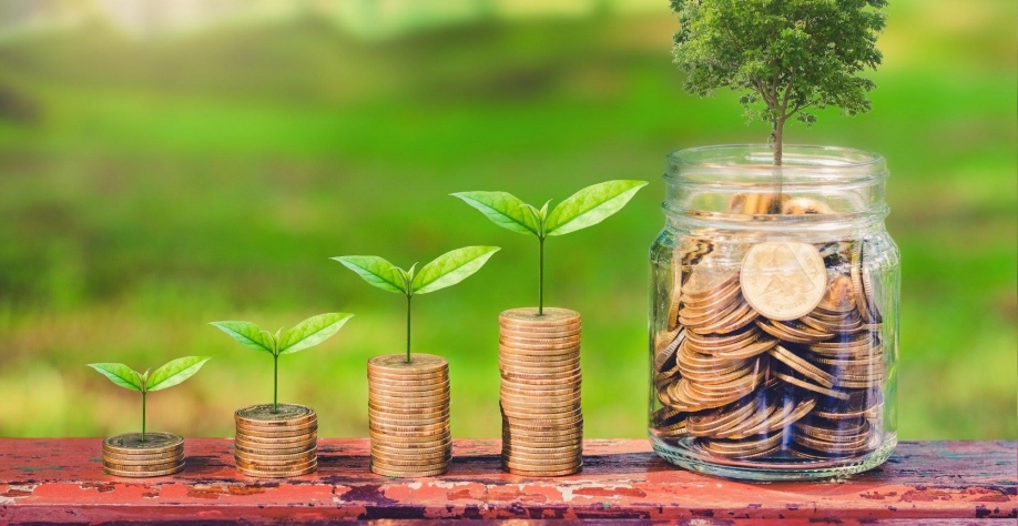 WWF incentiva bancos de investimento a tornarem-se verdes